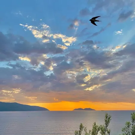 Hotell Realdo Kanine