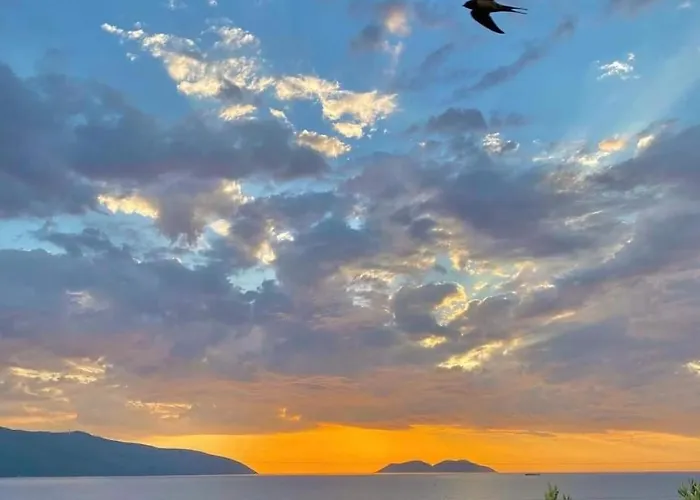 호텔 Realdo Kanine